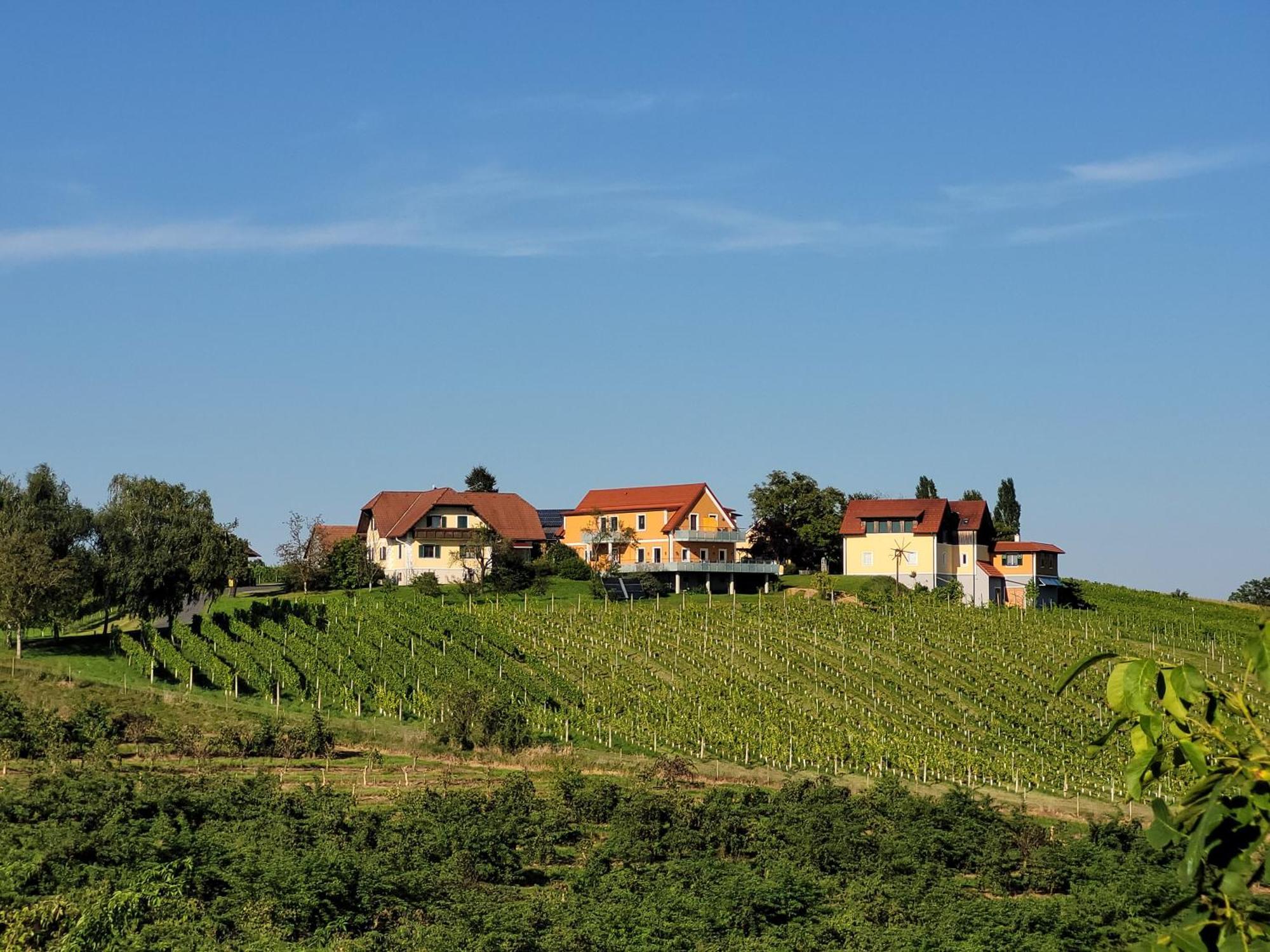 Bed and Breakfast Weinhof Reichmann Sankt Peter am Ottersbach Exteriér fotografie