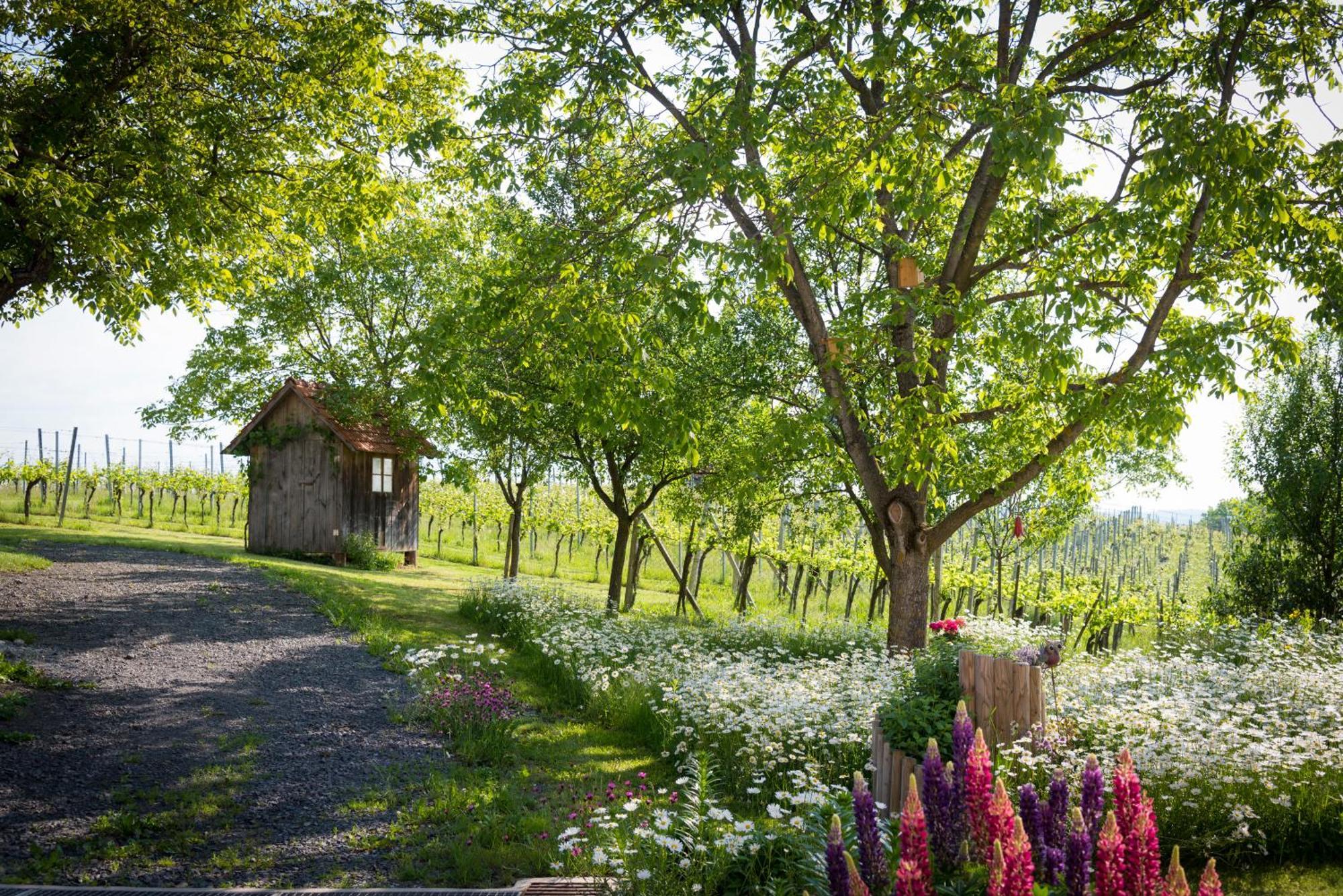 Bed and Breakfast Weinhof Reichmann Sankt Peter am Ottersbach Exteriér fotografie